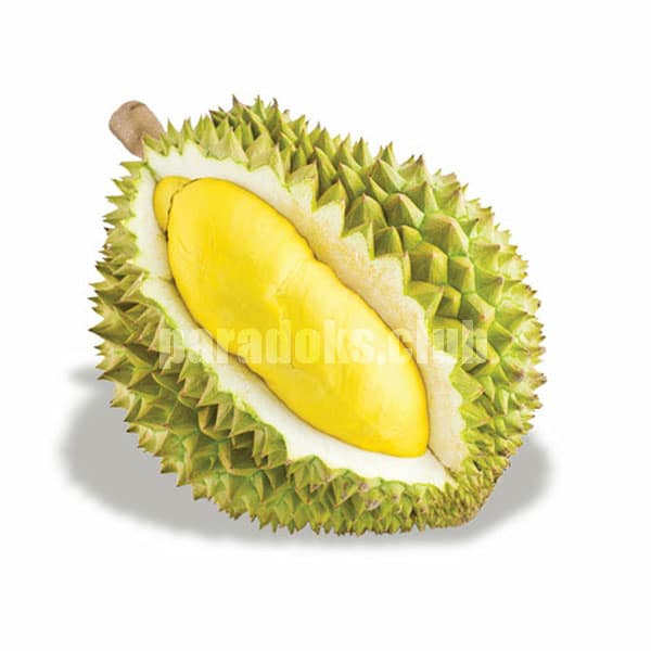 erek erek durian