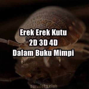 Erek Erek Kutu 2D 3D 4D Dalam Buku Mimpi